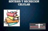 Sintesis y secrecion celular