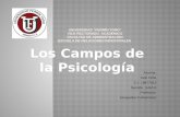 Campo de la Psicología. Keili Peña