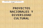 Proyectos Nacionales y diversidad cultural.