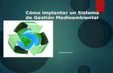 IMPLEMENTACION DE SISTEMAS DE GESTION AMBIENTAL NORMA ISO 14001