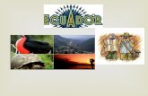Problemas del-mundo-ecuador