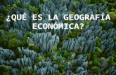 Qué es la geografía económica(luis)