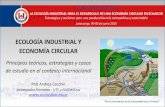 Ecología Industrial y Economía Circular: principios teóricos, políticas y casos de estudio en el contexto internacional