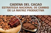 4. cadena del cacao