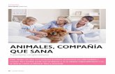 Animales Compañía que sana - Psicólogo Adolfo Villalón avillalon@psicokine.cl