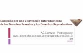 Presentacion articulación paraguay 2010-2011