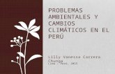 tarea 2 - Problemas ambientales y cambios climáticos en el Perú.