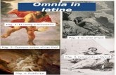 Omnia in latine
