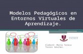 Modelos pedagógicos en entornos virtuales de aprendizaje