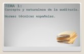 Tema 1 concepto y naturaleza de la auditoria. normas técnicas españolas