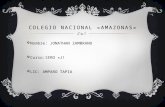 Colegio nacional «amazonas»