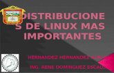 Distribuciones de linux mas importantes