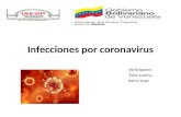 Infecciones por coronavirus corregidas