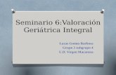 Seminario 6 valoración geriátrica integral