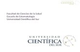 Escuela de Estomatología Universidad Cientifica del Sur