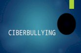 Ciberbullying sec