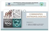 Trabajo nº 4 (corrientes antropologicas) Antropologia Social del Perú