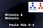 Mitosis & meiosis