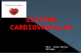 14.  sistema cardiovascular