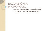 Micropolix 2013