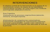 Centro De Vida Independiente Intervencion
