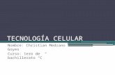 Tecnología celular