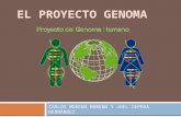 Proyecto del Genoma Humano