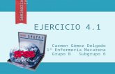 Ejercicio 4.1