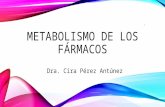 metabolismo de los fármacos