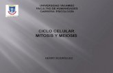 Presentacion mitosis y meiosis HR