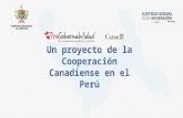 Experiencias y avances de la Cooperacion Canadiense en el norte del Perú