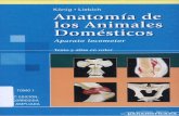 KÖNIG - LIEBICH. Anatomía de los Animales Domésticos: Tomo I, Aparato Locomotor (2º edición)