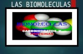 Las biomoleculas