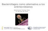 Fagos como alternativa a los antibióticos. Yachay Tech Seminars