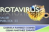 Rotavirus 2d