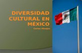 Diversidad Cultural en México