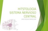 Histología sistema nervioso central SNC