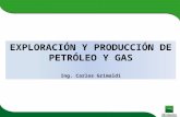 7   grimaldi - presentacion oil&gas (1)