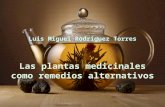 Las plantas medicinales como remedio alternativo