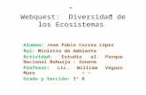 Webquest diversidad de los ecosistemas