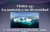 Tema 13 La materia y su diversidad