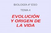4ºESO: Evolucion