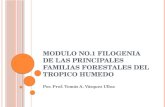 Modulo no 1 filogenia principales familias