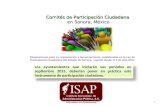Comités de participación ciudadana en Sonora mx