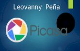 Leovanny Peña, Picasa