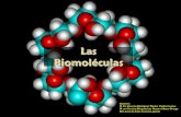 LA CÉLULA Biomoléculas