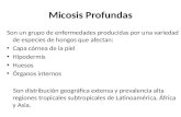 Expo Micosis Profunda 2