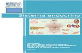 Guía Completa sistema Endocrino (1)