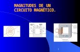 Tema 2 Magnitudes de Un Cto Magnetico