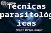 5 Tecnicas Coproparasitologicas (1)